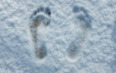 Order my steps in snow