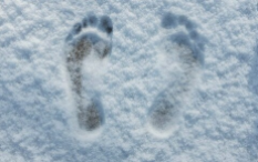 Order my steps in snow